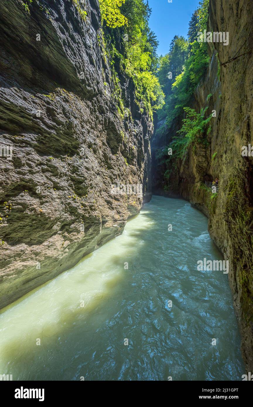 La Gola di Aare tra Innertkirchen e Meiringen, Cantone di Berna, Svizzera Foto Stock