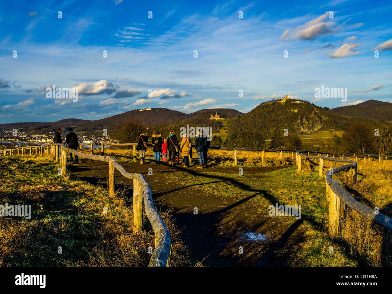 Vista dalla riserva naturale di Rodderberg alla Siebengebirge; distretto Reno-Sieg; Renania settentrionale-Vestfalia, Germania Foto Stock