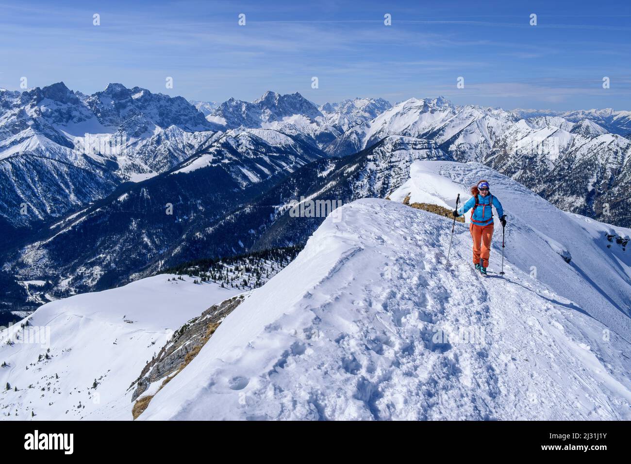 La donna in ski tour sale fino a Schafreiter a piedi su cresta di neve, Karwendel, alta Baviera, Baviera, Germania Foto Stock