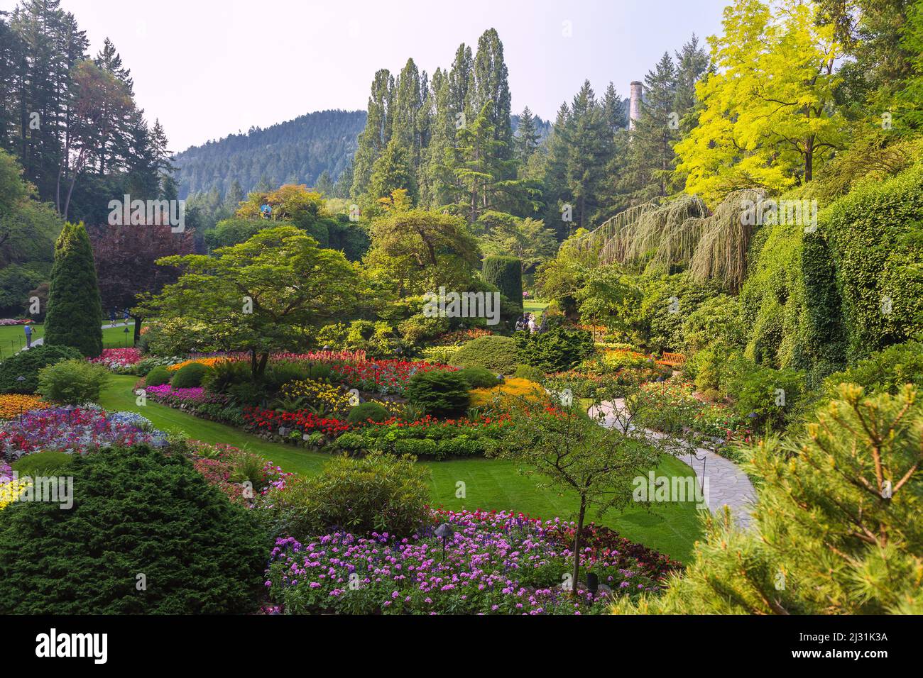 Victoria, i Giardini Butchart, il Giardino Sunken Foto Stock