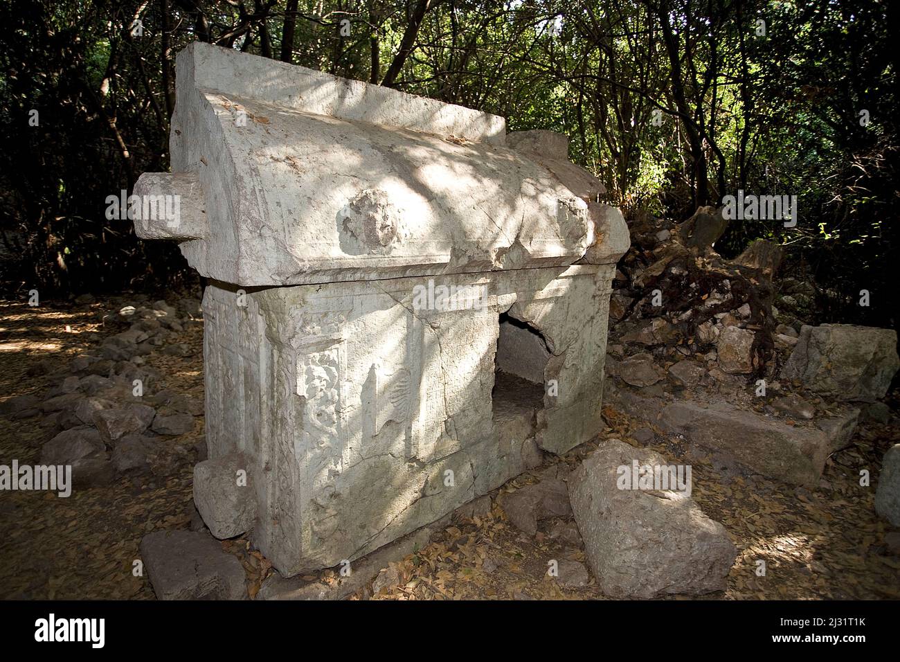 Sarcofago al Parco Nazionale Olympos, antica Likia, Turchia, mare Mediterraneo Foto Stock