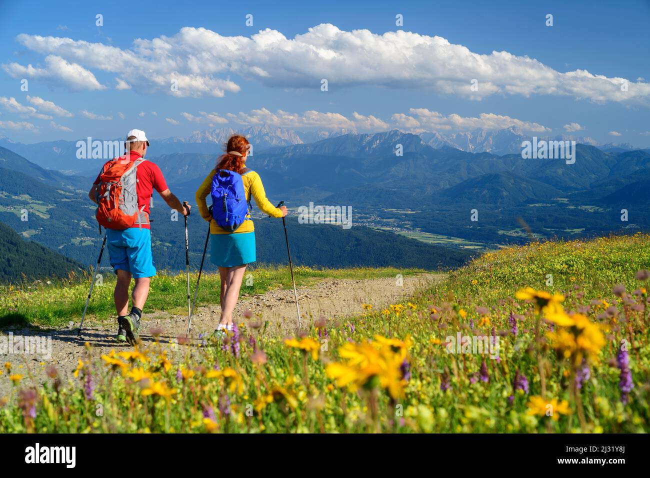 Escursioni uomo e donna sul sentiero attraverso prato fiorito, Nockberge, Nockberge-Trail, Unesco Biosphere Park Nockberge, Gurktal Alpi, Carinzia, Austria Foto Stock