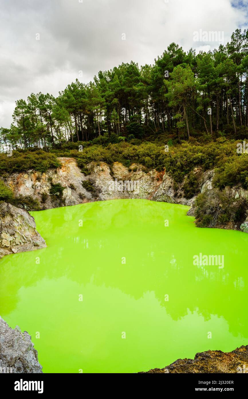 Il bagno del Diavolo è una delle attrazioni popolari di Wai-o-Tapu un stagno verde luminoso con contenuto di zolfo Foto Stock