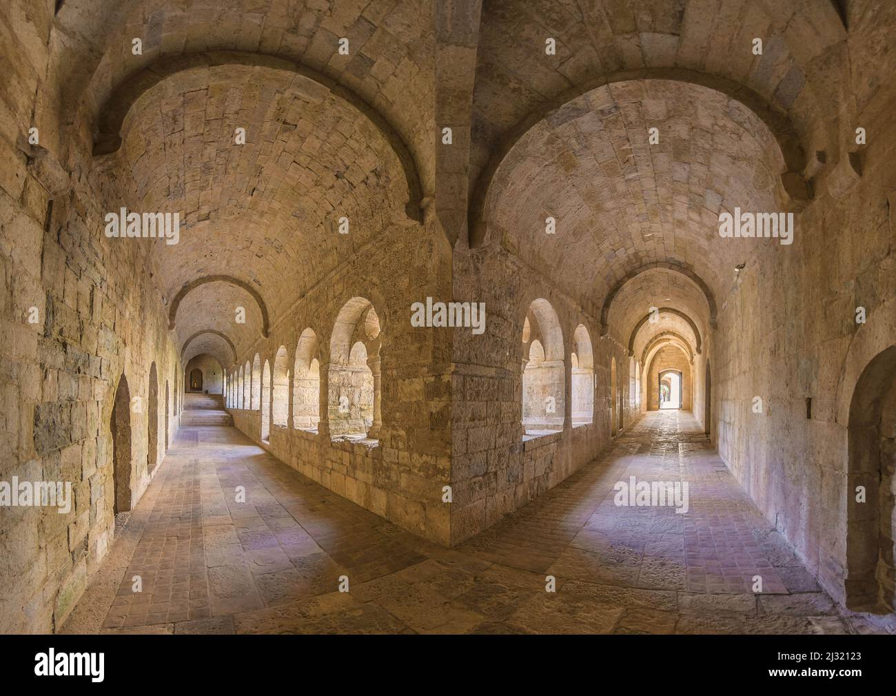 FRANCIA. PROVENZA. VAR (83) ABBAZIA DI THORONET. COSTRUITO TRA IL 1160 E IL 1230, È UNO DEI TRE CISTERCENSI ABBEYES IN PROVENZA. ELENCATO COME STORICO Foto Stock