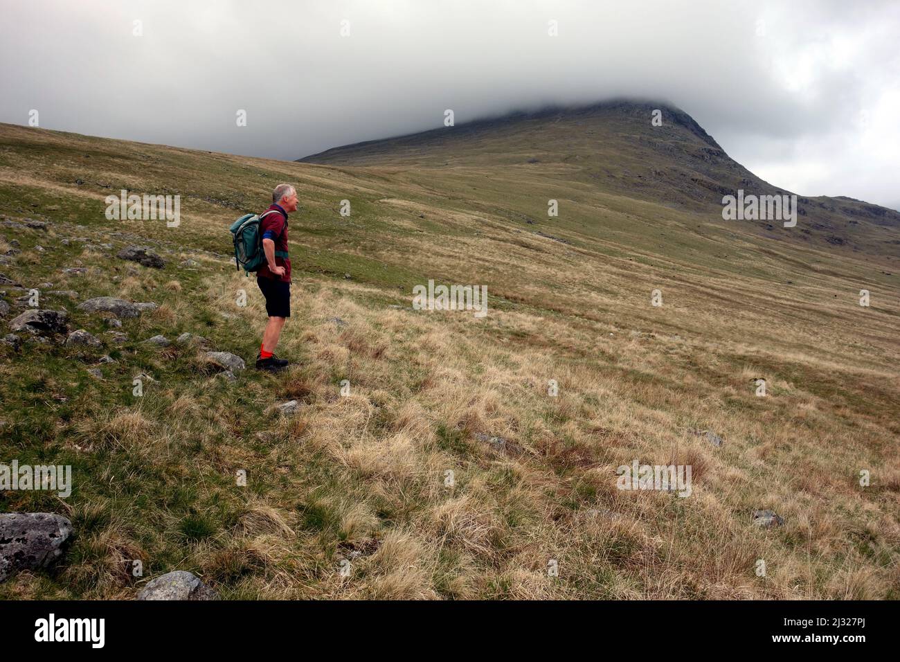 Lone Male Walker Standing/Looking at the Low Cloud on the Wainwright 'Light Side' in Eskdale, Lake District National Park, Cumbria, Inghilterra, Regno Unito. Foto Stock