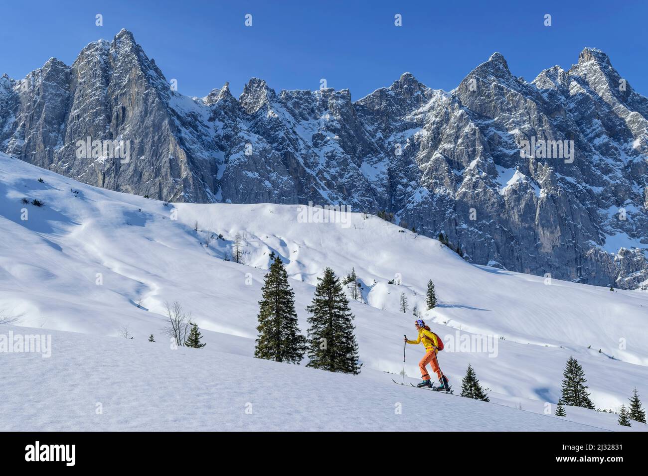 Donna in giro sci sale al Mahnkopf, Laliderer pareti sullo sfondo, Mahnkopf, Karwendel, Parco Naturale Karwendel, Tirolo, Austria Foto Stock