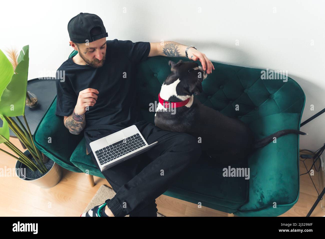 Giovane uomo caucasico con un cappello che tocca il suo cane e che lavora sul laptop freelance concept home sfondo medio pieno scatto dall'alto. Foto di alta qualità Foto Stock