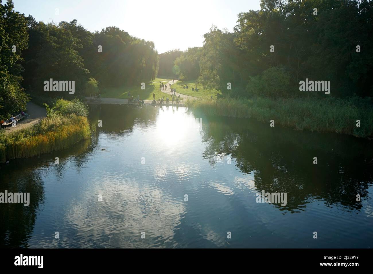 Impressionen - Ententeich, Rudolph-Wilde-Park Berlin-Schoeneberg (nur fuer redaktionelle Verwendung. Keine Werbung. Referenzdatenbank: http://www.360- Foto Stock