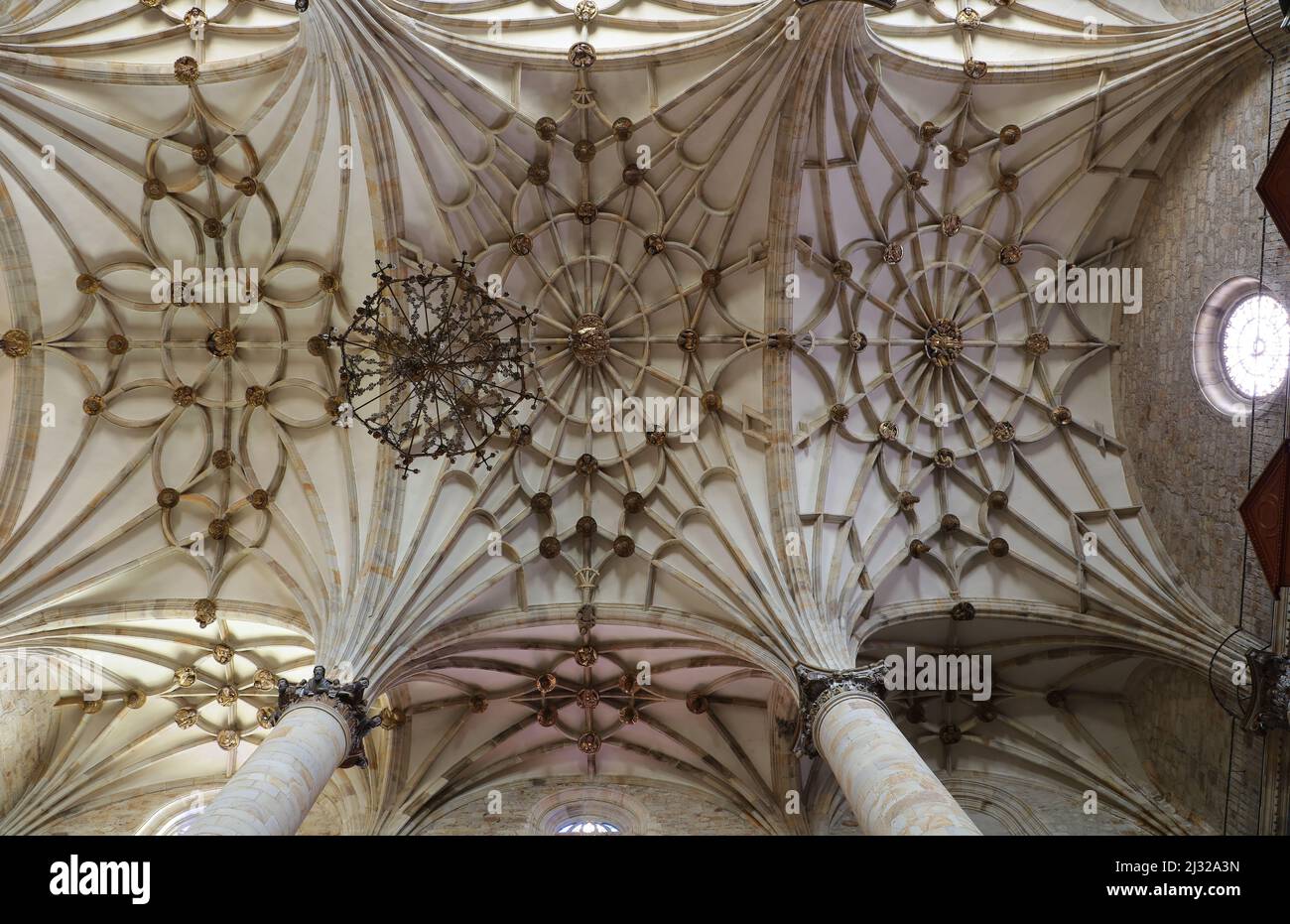 Basílica de la Purísima Concepción Foto Stock