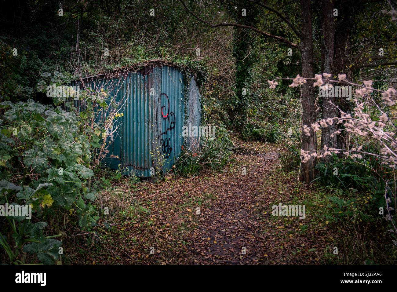 Una piccola struttura iton corrugata in un'area fortemente boschiva a Newquay in Cornovaglia. Foto Stock