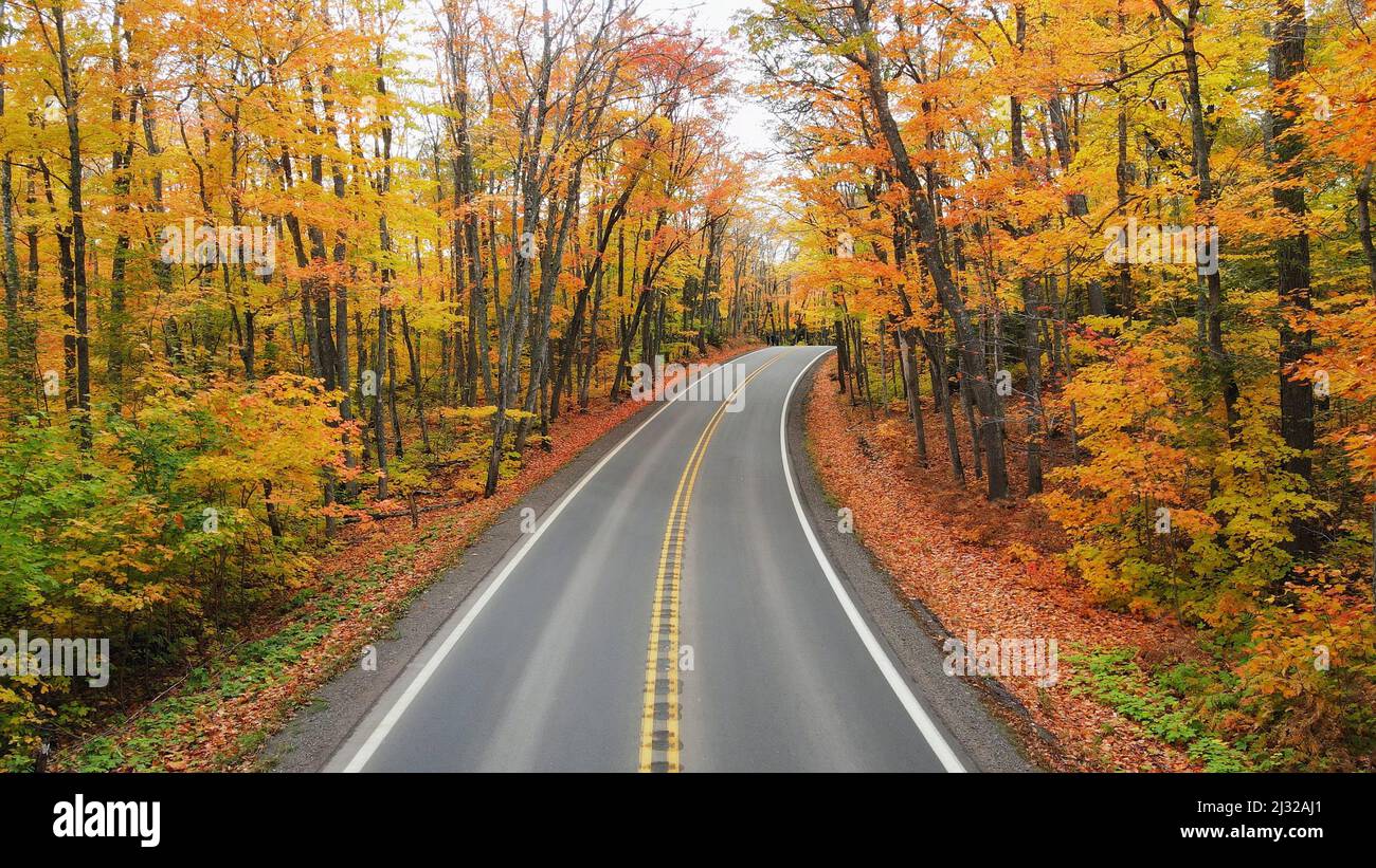 Una bella foto della strada che attraversa la foresta nella Virginia occidentale Foto Stock