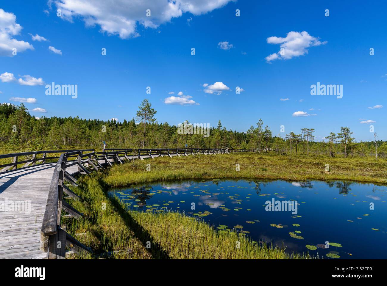 Lago nel Parco Nazionale di Seitseminen, Finlandia Foto Stock