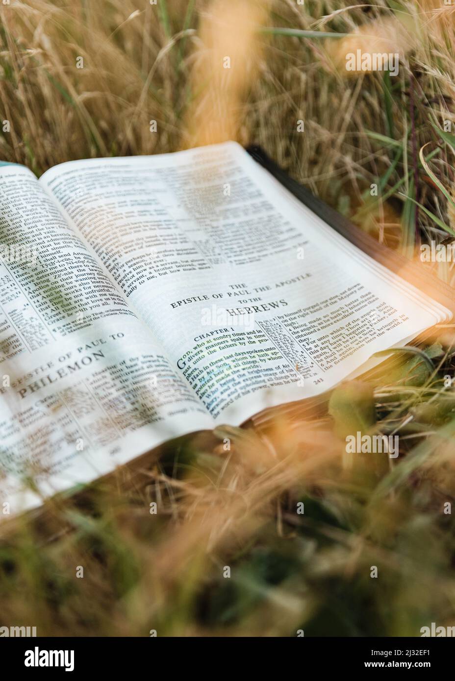 La Sacra Bibbia cristiana si apre in un campo caldo e soleggiato al libro degli Ebrei nel nuovo Testamento Foto Stock