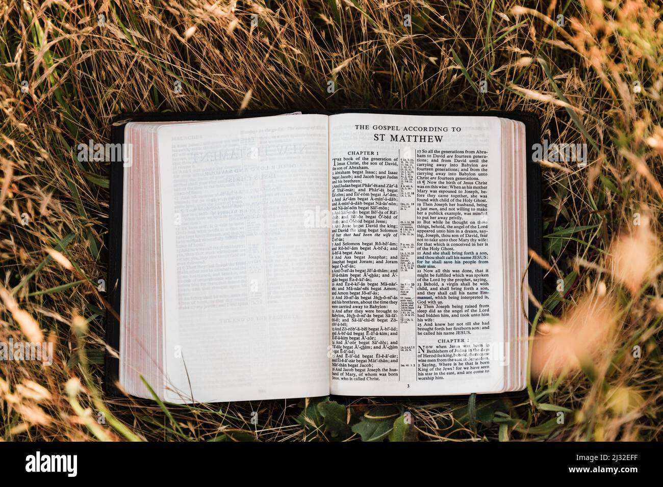 Una Sacra Bibbia cristiana si apre in un campo caldo e soleggiato al libro Vangelo di Matteo Foto Stock