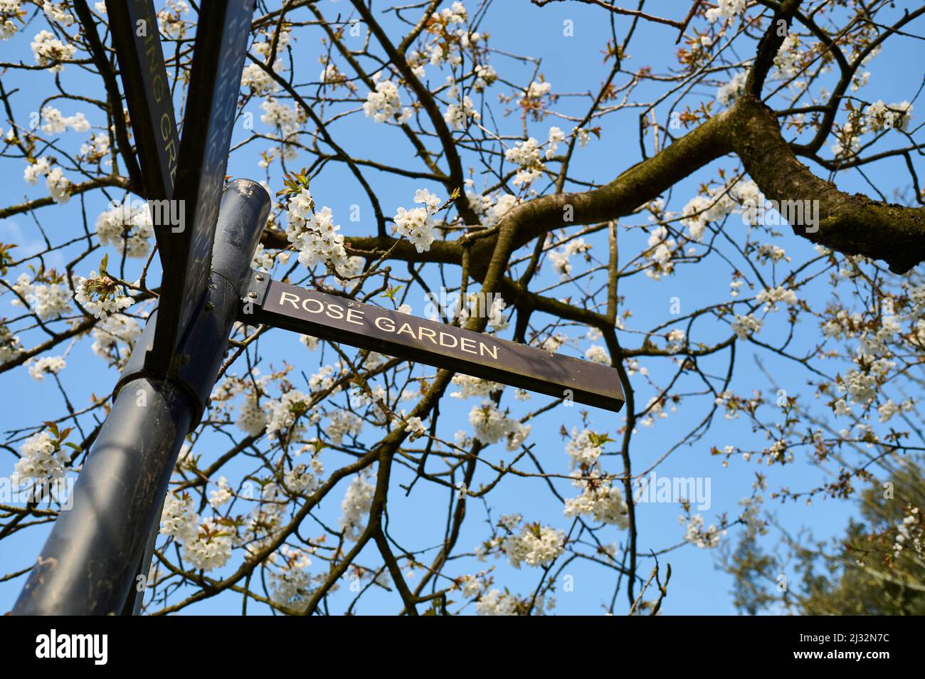 Insegna sotto i fiori primaverili che indicano il Giardino delle Rose in Stanley Park, Blackpool Foto Stock