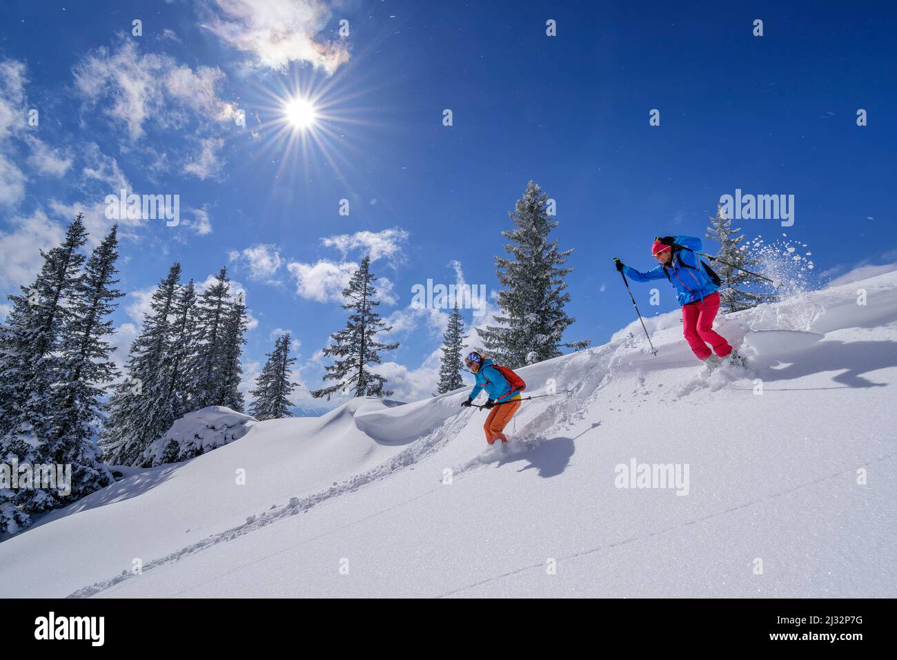 Due donne in un tour sciistico scendono attraverso la neve polverosa, Tanzeck, Spitzing area, Mangfall Mountains, Alpi bavaresi, Baviera superiore, Baviera, Germania Foto Stock