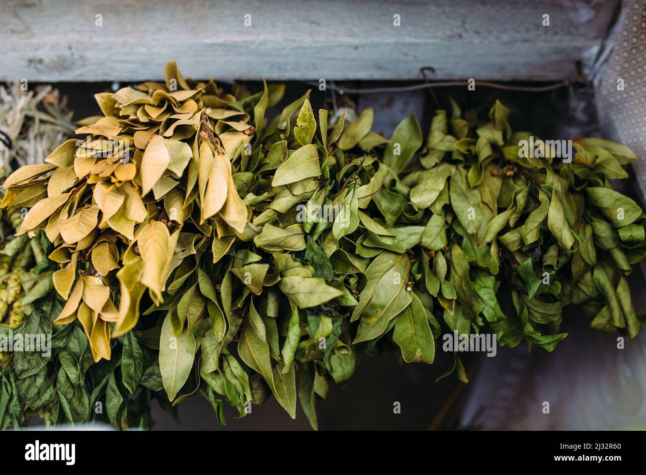 Mazzi di piante medicinali secche. Foglie di baia, limongrass sono asciugati Foto Stock
