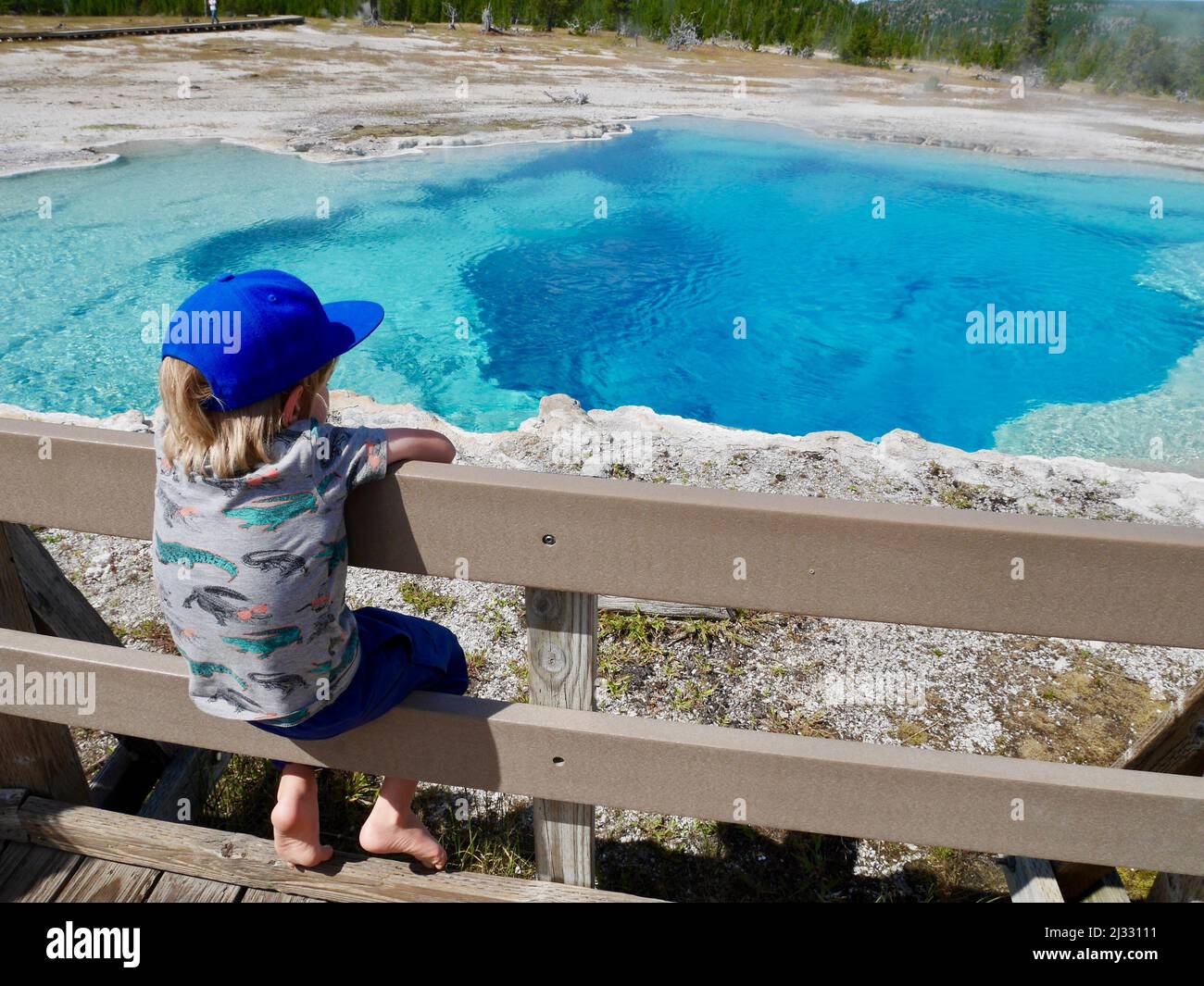 Ragazzino seduto su una recinzione di legno che guarda alla piscina Sapphire nell'area del Bacino Biscuit. Yellowstone Nationalpark, Wyoming, USA. Foto di alta qualità Foto Stock