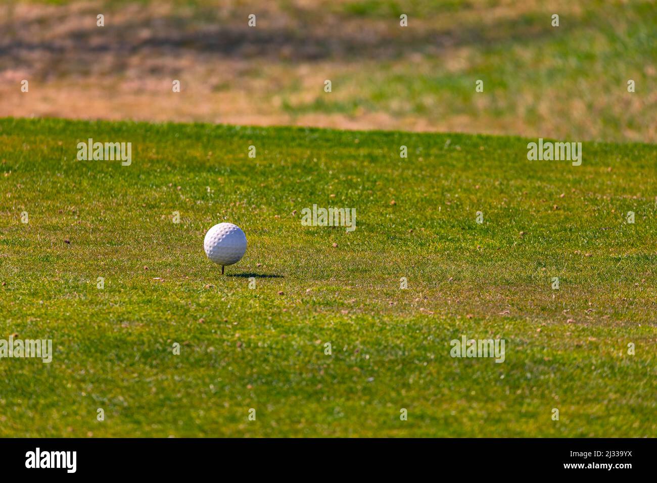 Una pallina da golf bianca si presenta su un campo verde dove si svolge il tee-off sul campo da golf tedesco a 18 buche Foto Stock