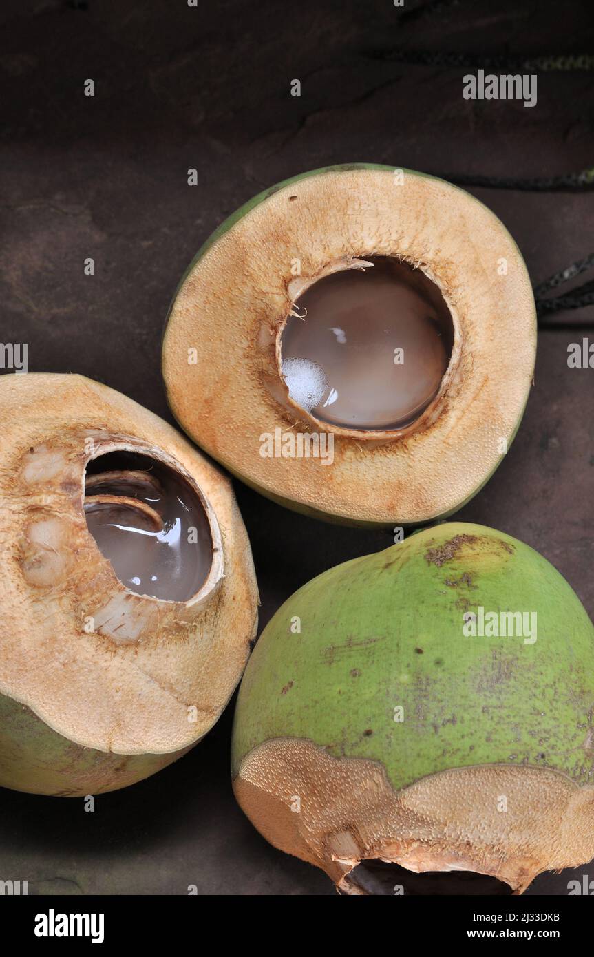 Cocco, acqua di cocco, gruppo di noci di cocco, gustosa frutta tropicale, Fly Swarming cocco Foto Stock