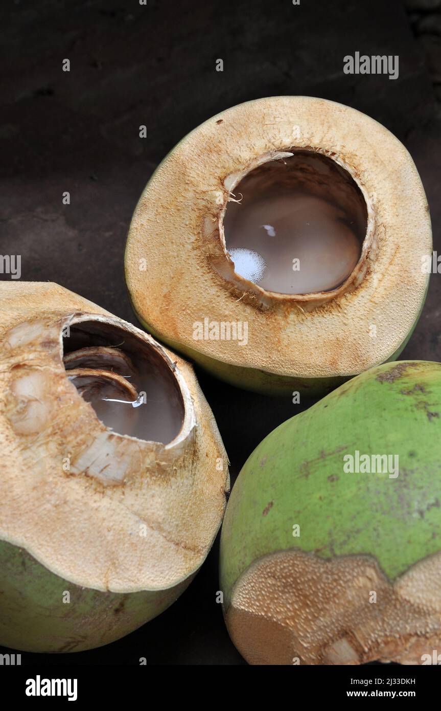 Cocco, acqua di cocco, gruppo di noci di cocco, gustosa frutta tropicale Foto Stock