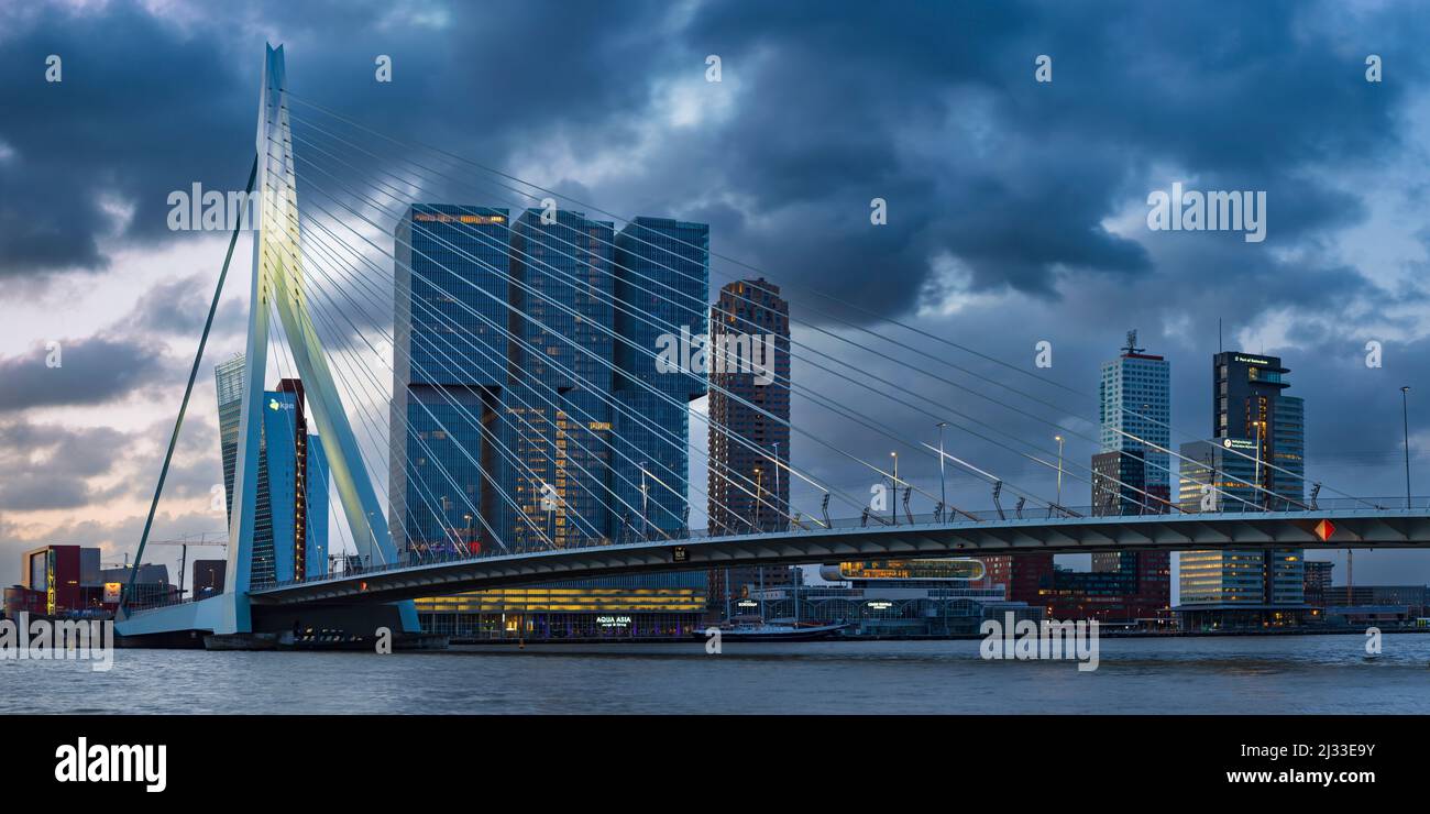 Nieuwe Maas con ponte Erasmus e grattacieli, Rotterdam, Olanda meridionale, Paesi Bassi, Europa Foto Stock