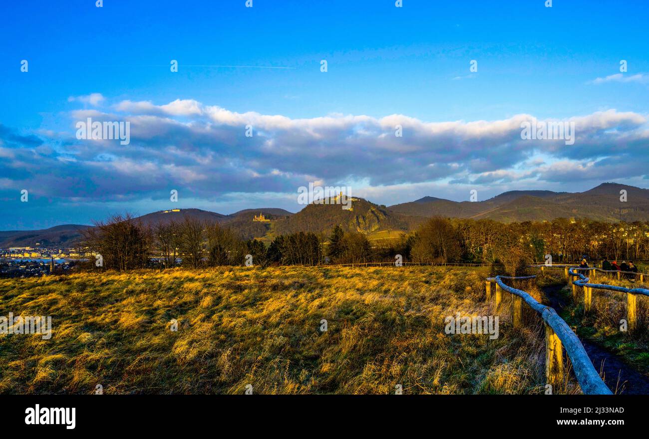 Vista dalla riserva naturale di Rodderberg alla Siebengebirge, Rhein-Siegkreis, Renania settentrionale-Vestfalia, Germania Foto Stock