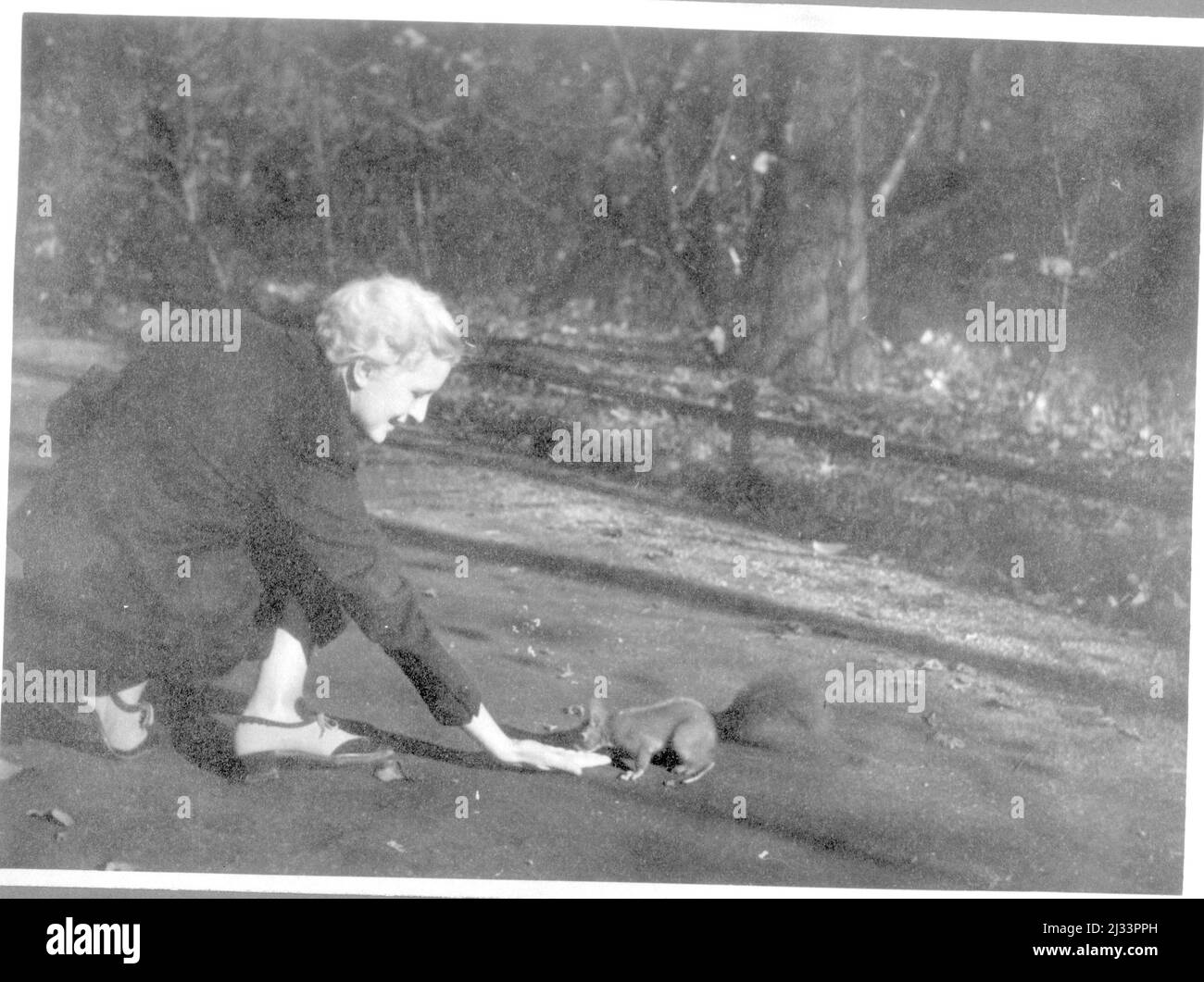 Album fotografici di EVA Braun, ca. 1913 - ca. 1944. Questi album sono attribuiti a Eva Braun (quattro sono rivendicati dalla sua amica Herta Schneider, nee Ostermeyer) e documentano la sua vita da ca. da 1913 a 1944. Ci sono molte fotografie di Eva, delle sue sorelle e dei loro figli, di Herta Schneider e dei suoi figli, così come fotografie delle vacanze di Eva, dei suoi familiari e degli amici. Sono incluse anche le fotografie scattate da e di Eva Braun allo chalet di Hitler Berghof (o Kehlstein), le fotografie di Hitler e del suo entourage, i visitatori di Berghof e il paesaggio intorno a Berchtesgaden, e alcuni ritratti di studio di Eva Foto Stock