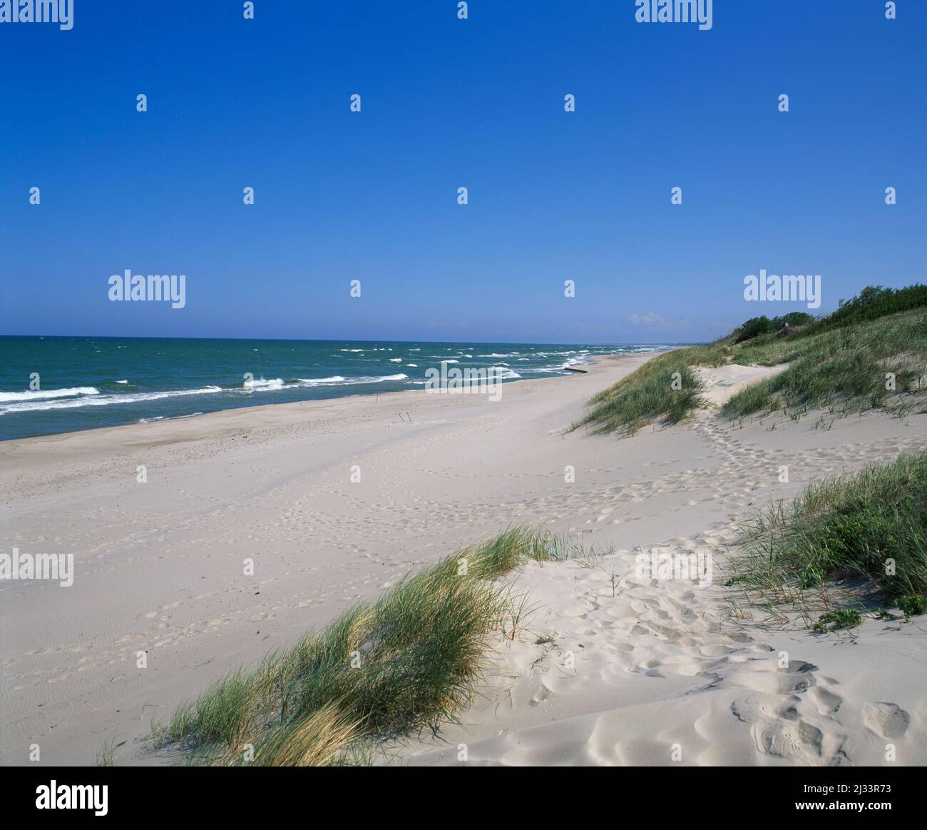 Spiaggia del Mar Baltico a Nidden, Kurische Nehrung, Curonian Spit, Lituania, Baltici, Europa Foto Stock