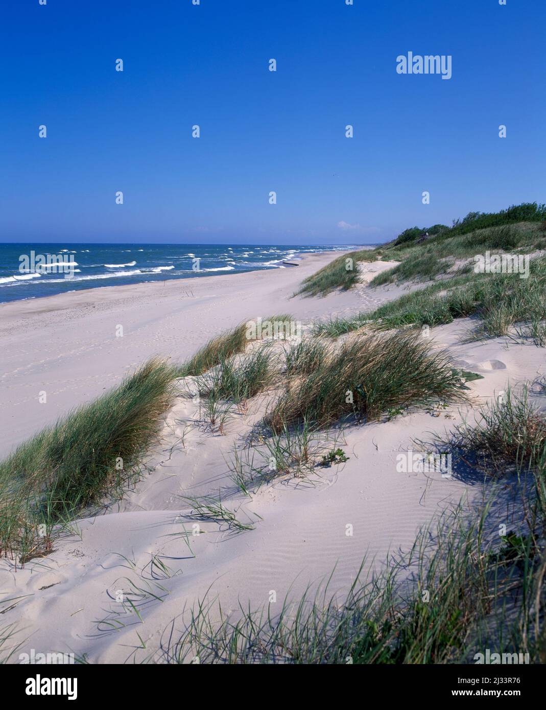 Spiaggia del Mar Baltico a Nidden, Kurische Nehrung, Curonian Spit, Lituania, Baltici, Europa Foto Stock