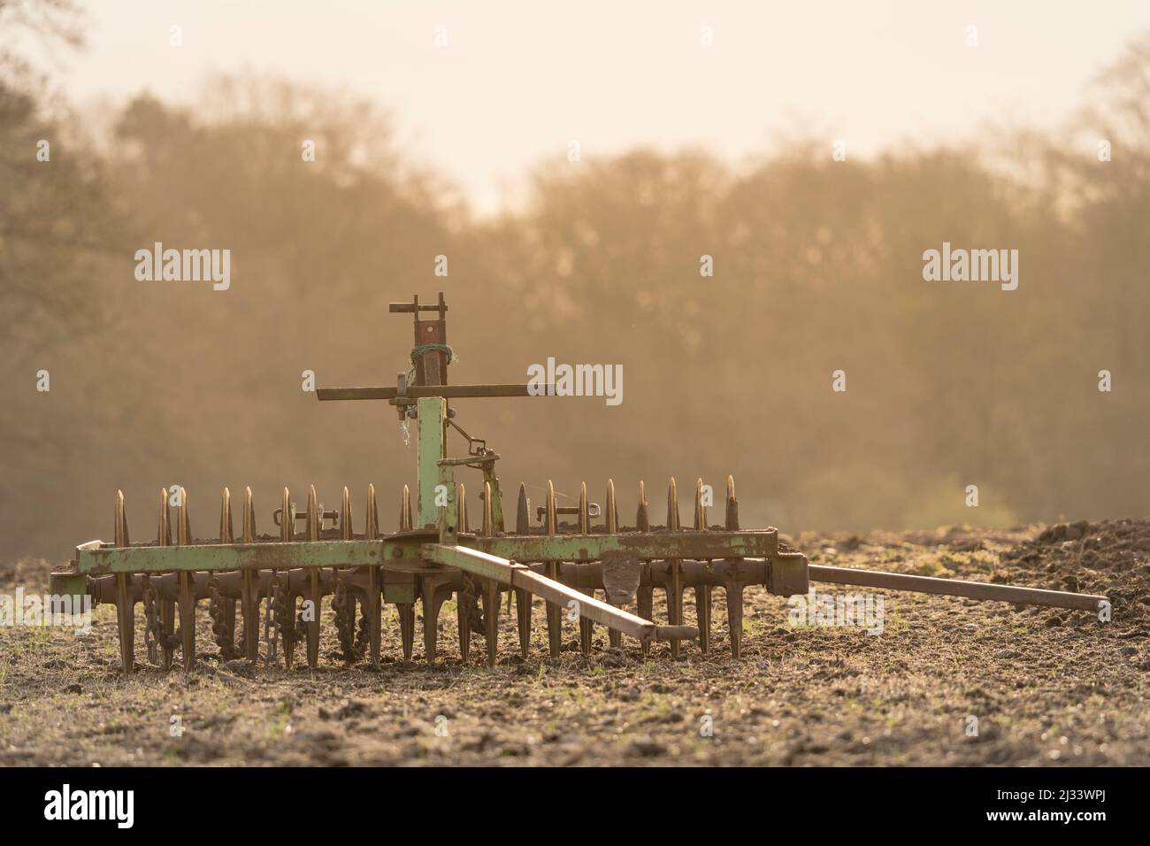 Un rastrello meccanico a terra degli agricoltori in un campo retroilluminato con sole al mattino presto Foto Stock