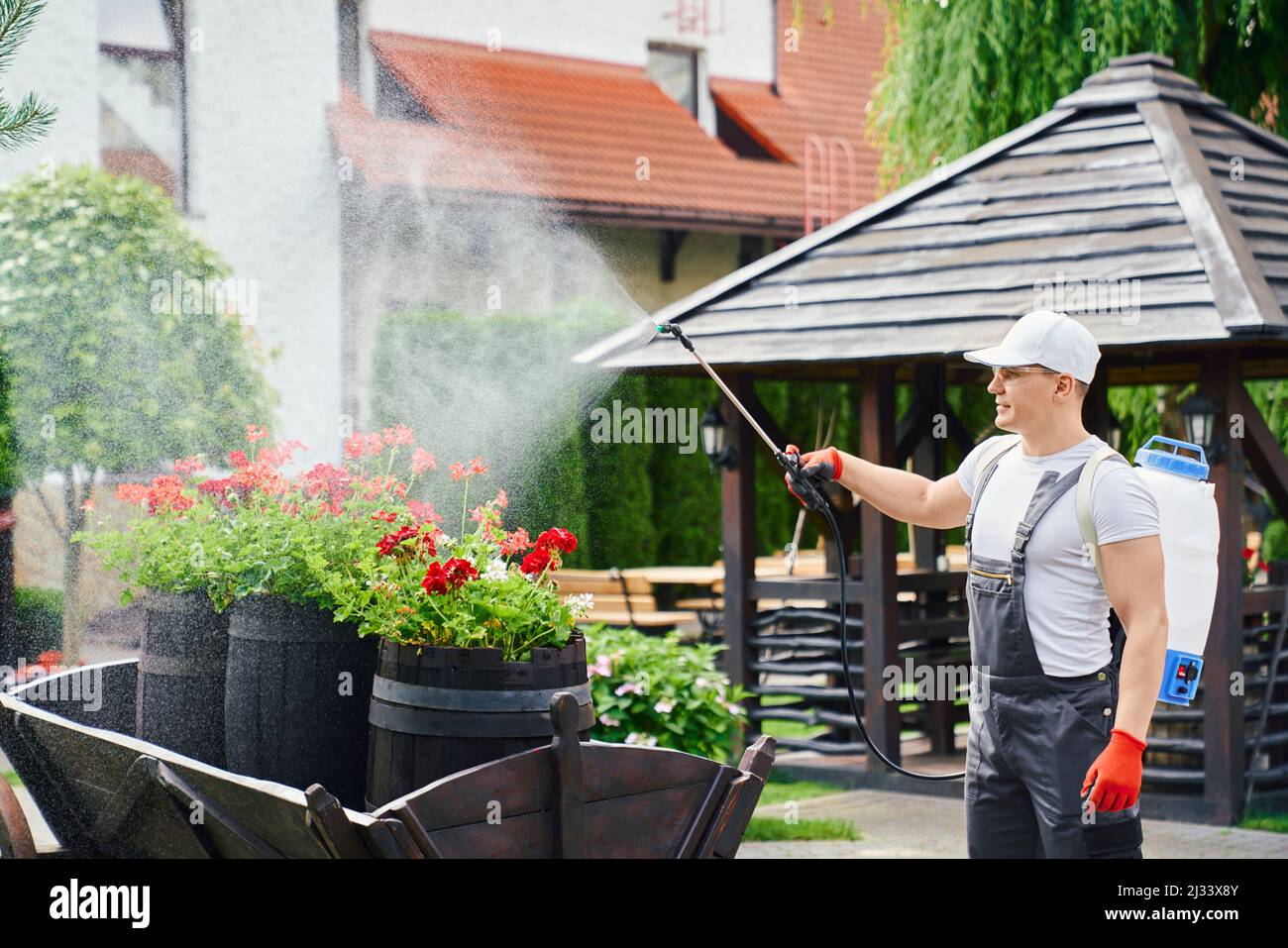 Giardiniere professionale maschile in uniforme, occhiali di sicurezza e guanti utilizzando aerosol protezione chimica da parassiti durante il lavoro in giardino. Concetto di persone, piante e lavoro stagionale. Foto Stock