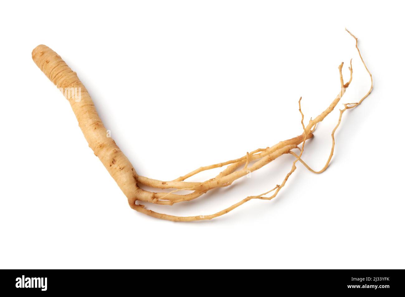 Radice di ginseng isolata su sfondo bianco da vicino Foto Stock
