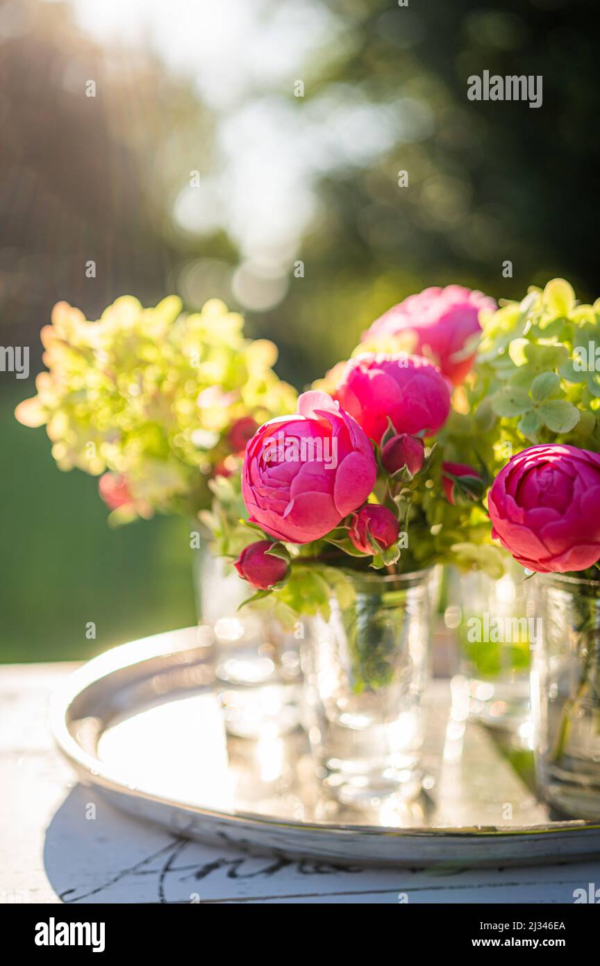 Rose con bokeh, la vita morta Foto Stock