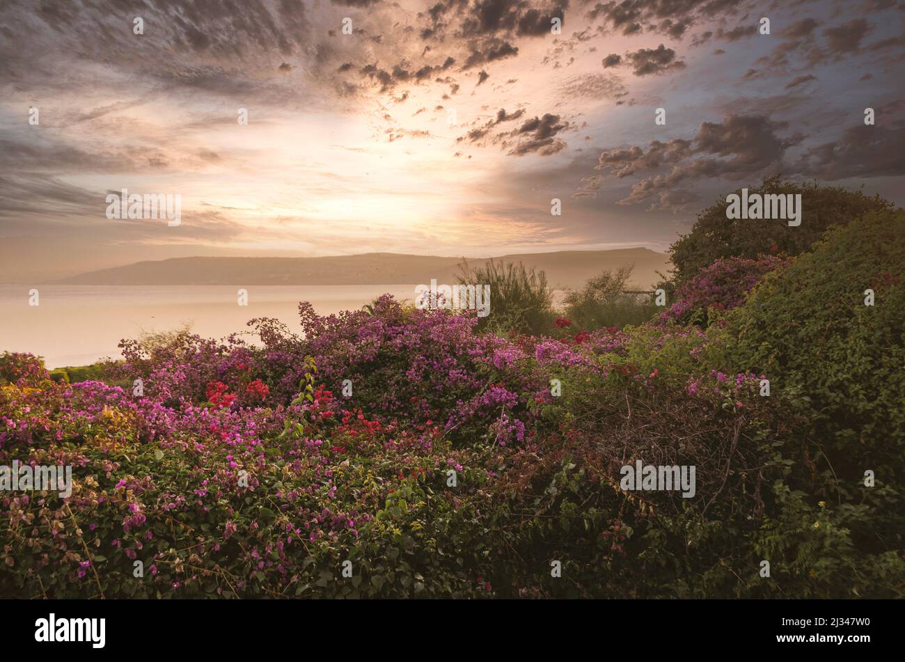 Vista sul Mar di Galilea. Golan Heights. Paesaggio incantevole con cielo panoramico e colori caldi. Foto Stock