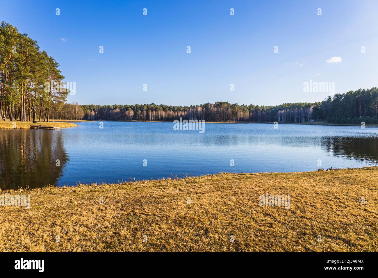 Primo primavera bosco lago paesaggio con cielo blu chiaro Foto Stock