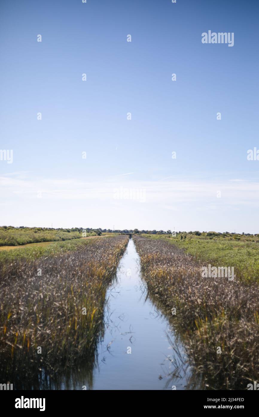 Canale vicino a Fort Pulaski, Georgia Foto Stock