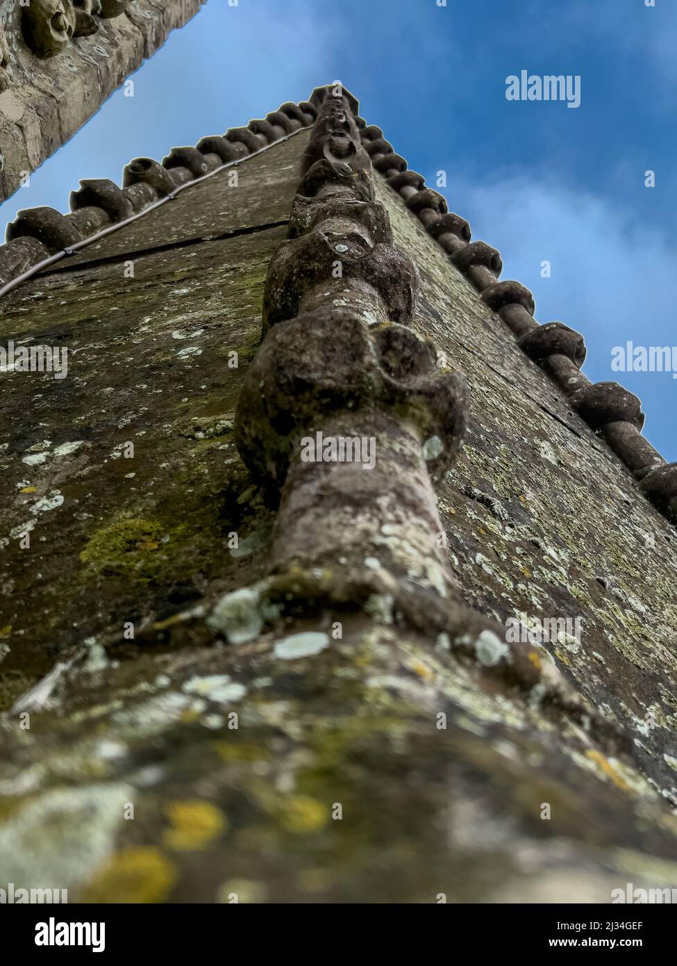 Opera esterna in pietra della Cattedrale di Salisbury, una cattedrale anglicana nella città di Salisbury, Inghilterra. Foto Stock