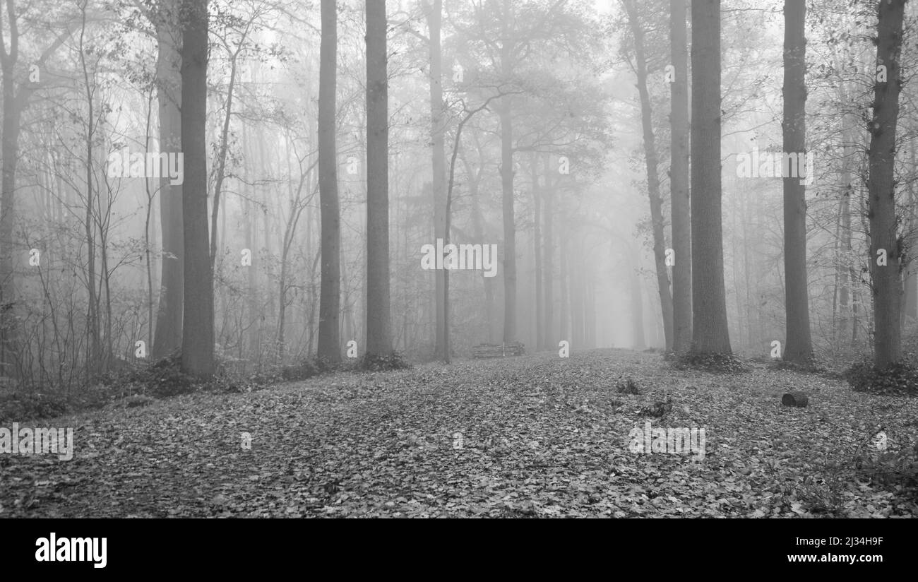 Splendida vista sul parco Enghien Foto Stock