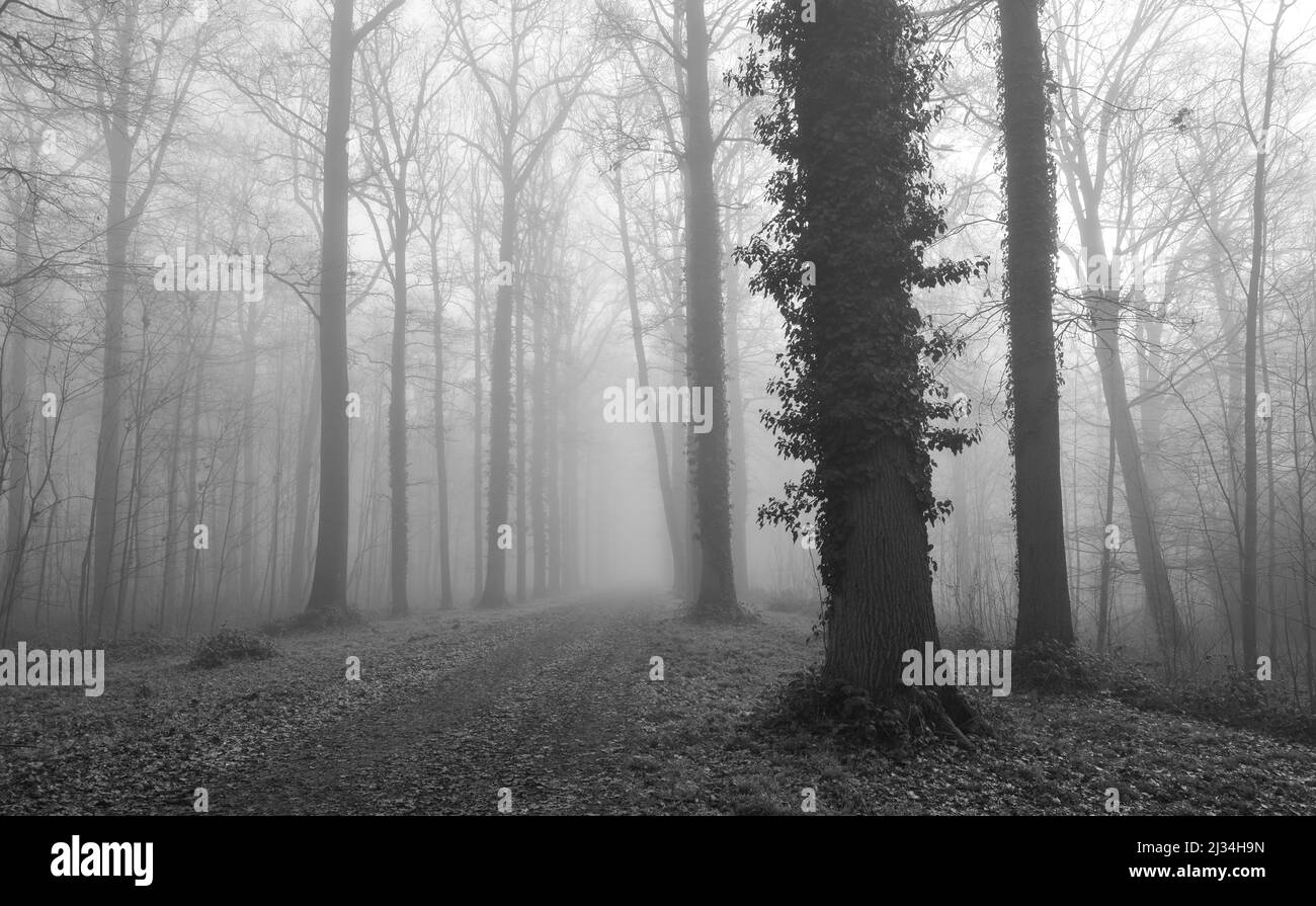 Splendida vista sul parco Enghien Foto Stock