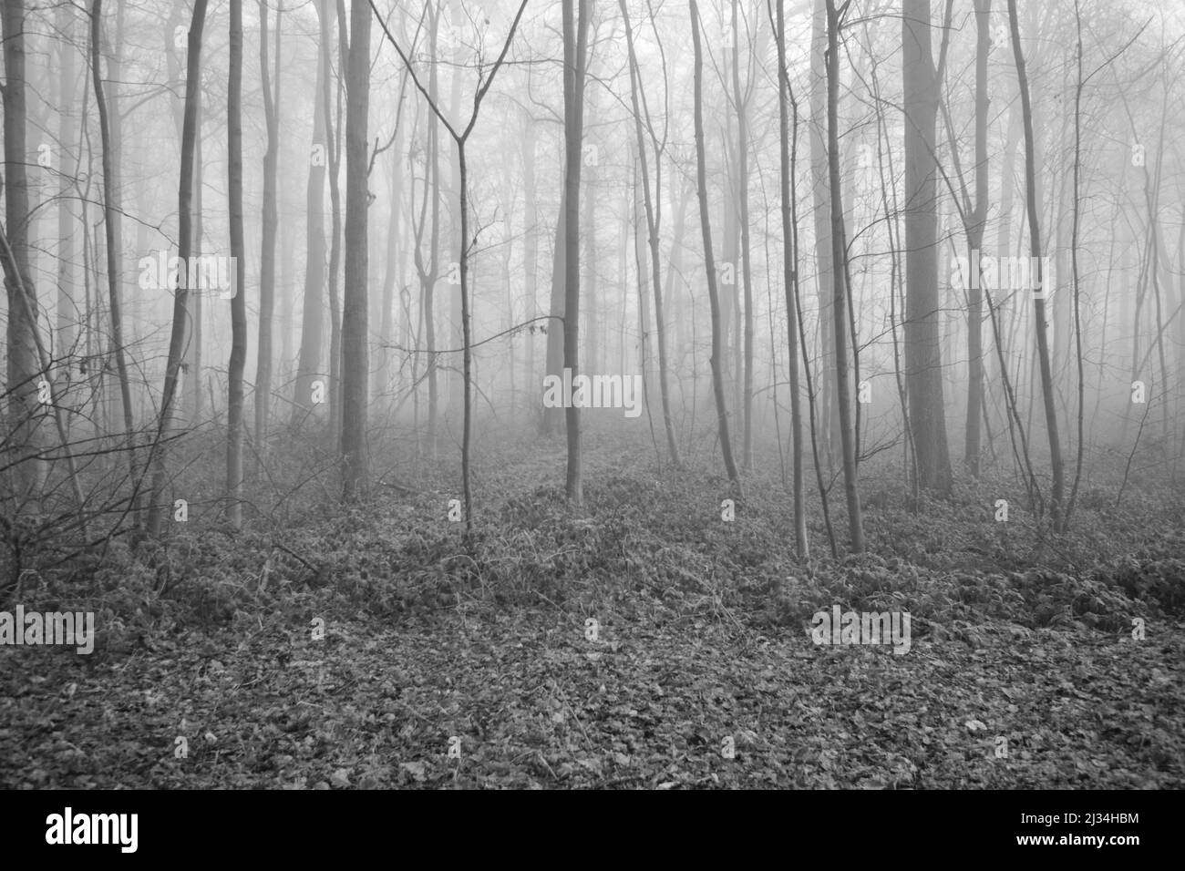Splendida vista sul parco Enghien Foto Stock