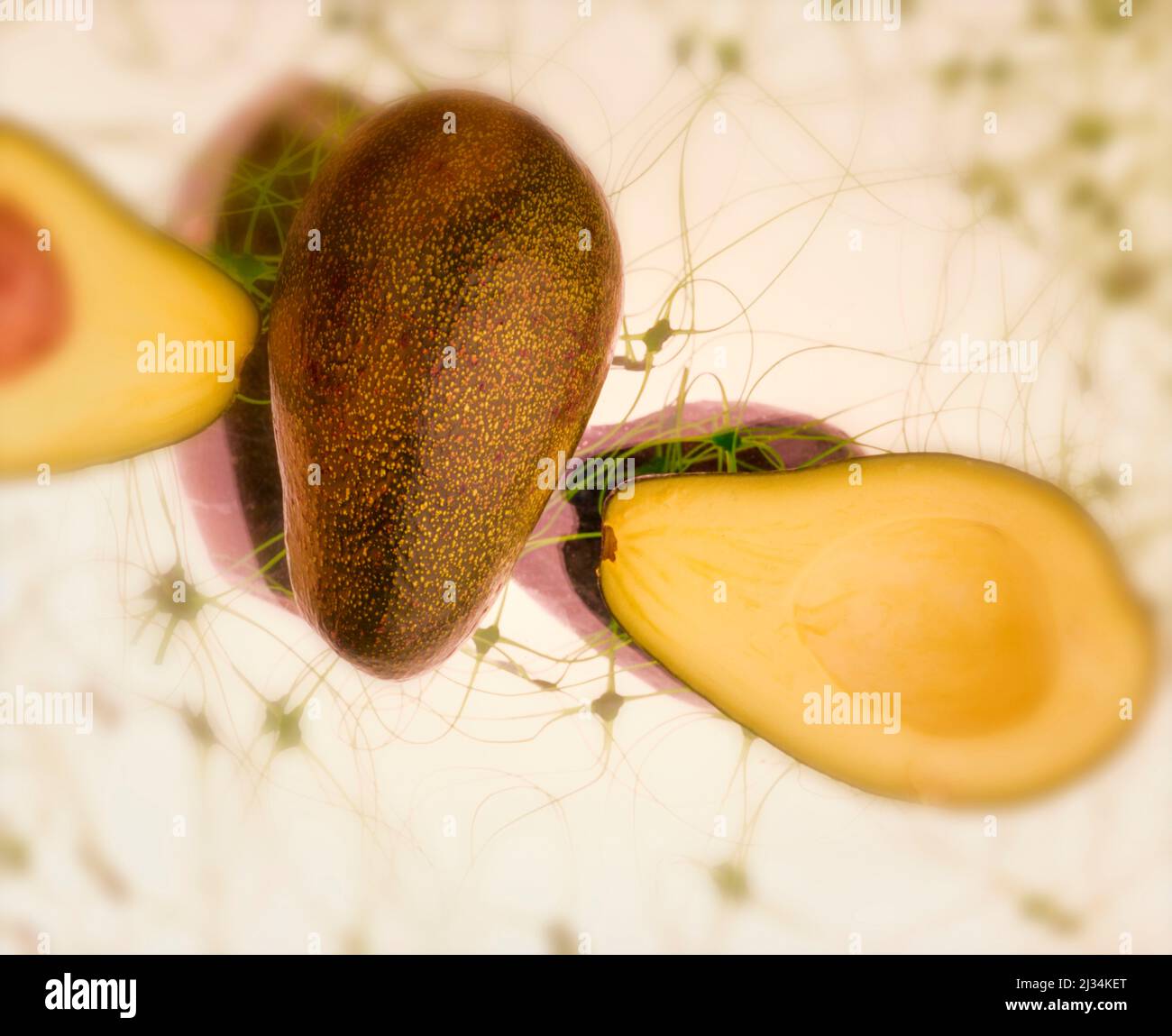 Vita morta di Avocado sano Foto Stock