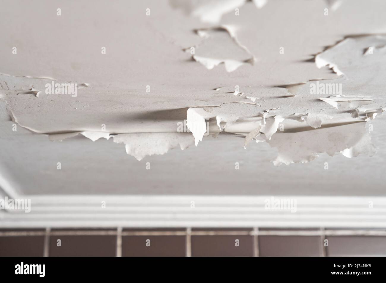 Soffitto del bagno danneggiato con vernice bianca screpolata e spellante su muro a secco dipinto in primo piano. Umidità e umidità in un appartamento con muffa. DET Foto Stock