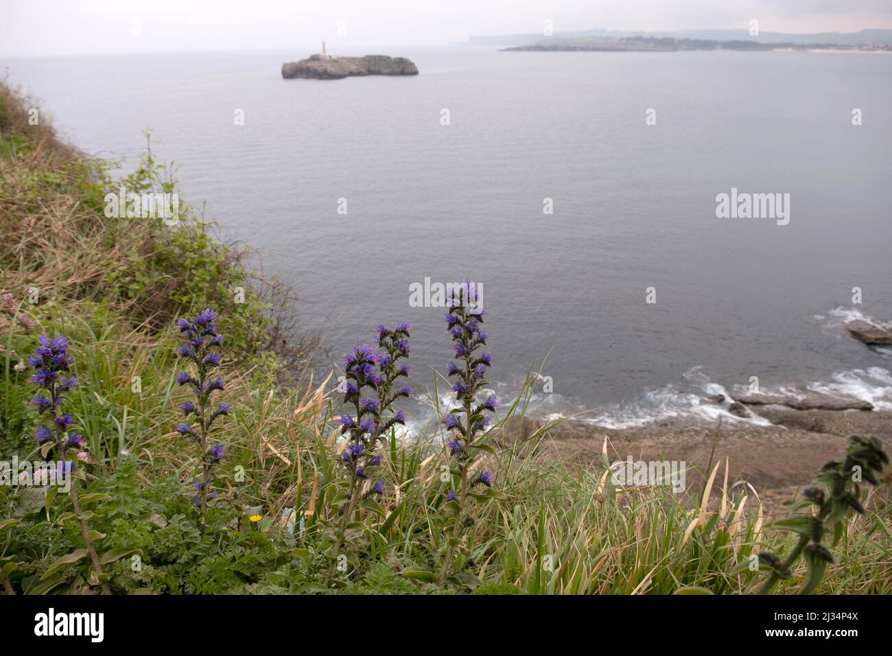 Penisola di Magdalena Santander, Spagna costa atlantica scenario Foto Stock