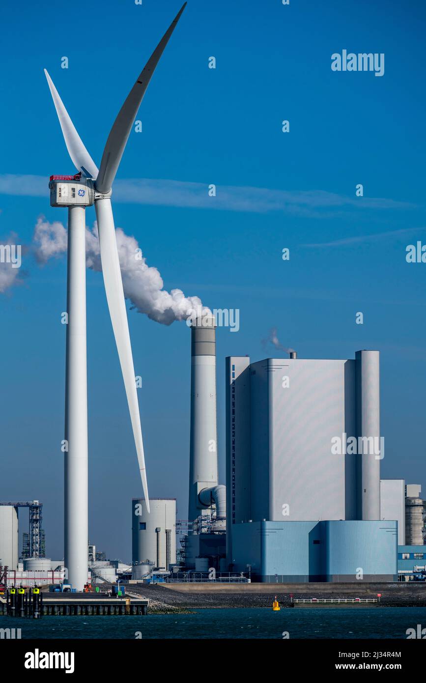 Centrale elettrica Uniper Maasvlakte , centrale elettrica a carbone, nel porto marittimo di Rotterdam, Paesi Bassi, porto di acque profonde Maasvlakte 2, su un artificialmente Foto Stock