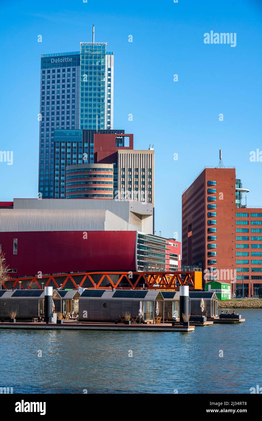 Case vacanze Wikkelboat, a Floating Rotterdam Rijnhaven, case galleggianti in legno, in affitto, nel quartiere 'Kop van Zuid', Paesi Bassi, Rijnhaven, Foto Stock