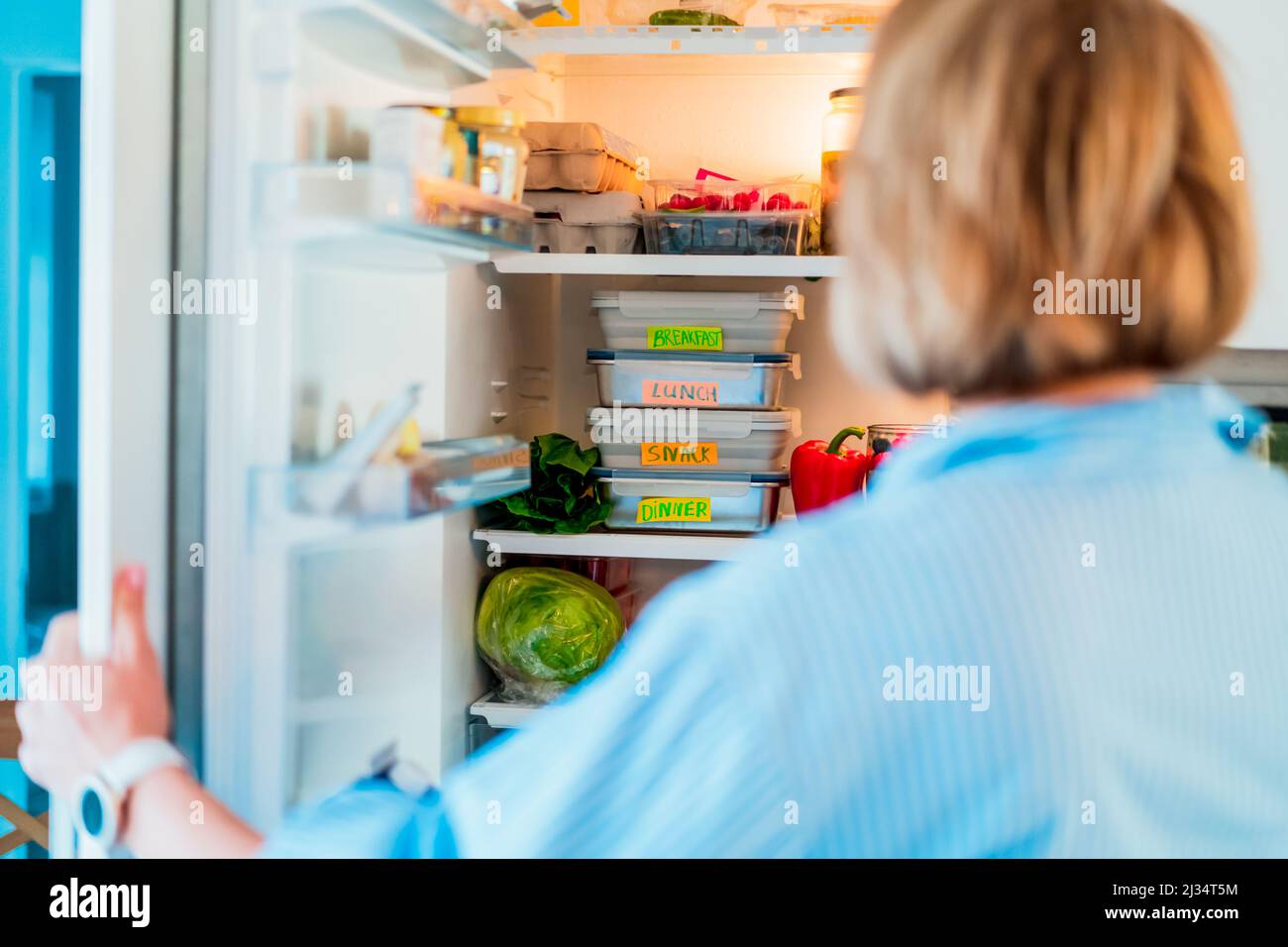 Programma di dieta sana per perdita di peso, menu pasto giornaliero pronto. Frigorifero donna aperto con portavivande cucinate in anticipo e pronte per essere servite. Contenitori con Foto Stock