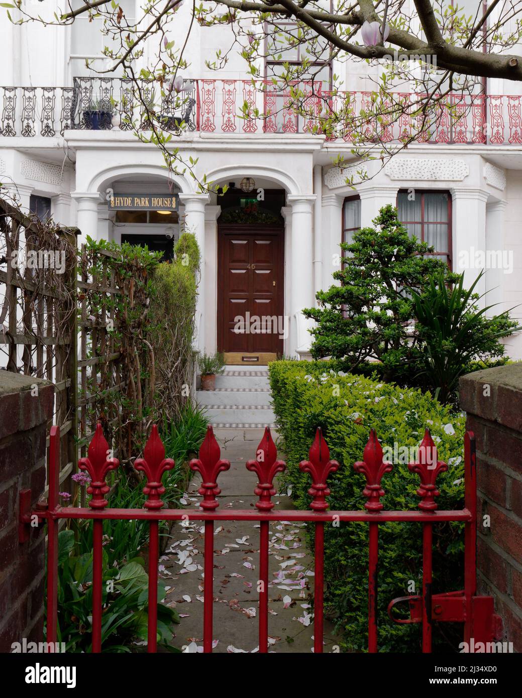 Londra, Greater London, Inghilterra, marzo 29 2022: Pittoresca proprietà residenziale nella zona di Bayswater con una porta rossa e Cherry Blossom. Foto Stock