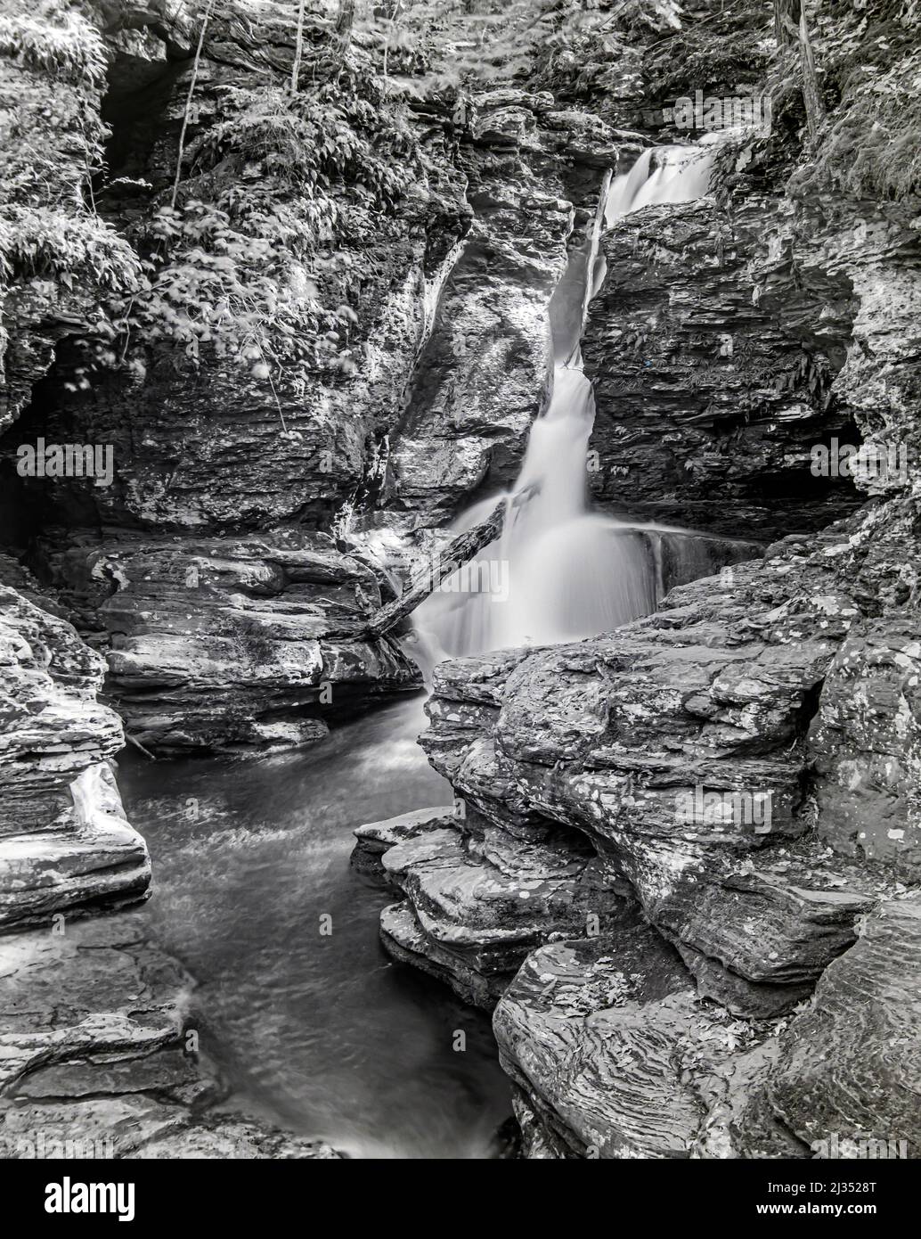 Ricketts Glen state Park è un parco statale della Pennsylvania Foto Stock