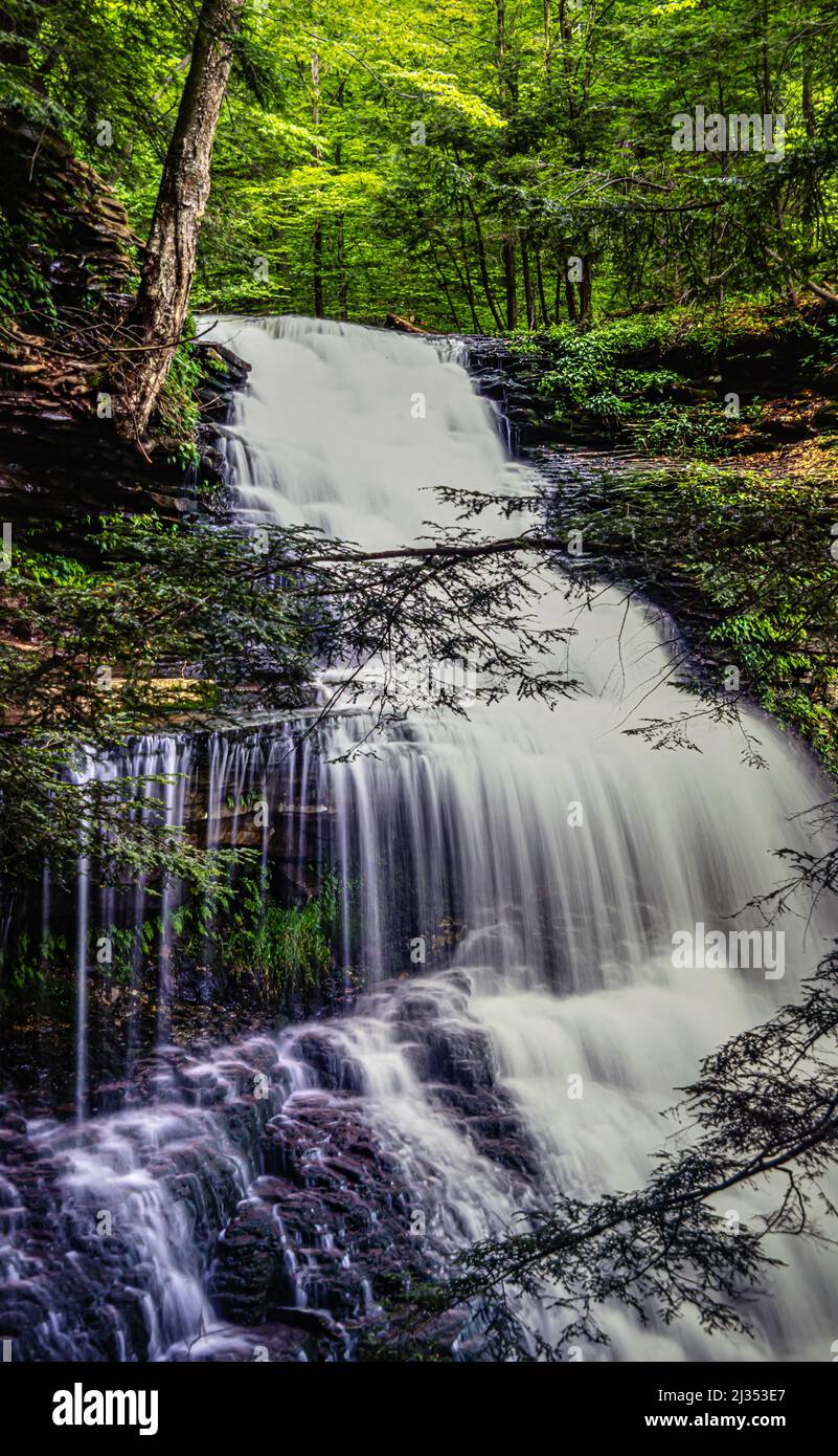 Ricketts Glen state Park è un parco statale della Pennsylvania Foto Stock